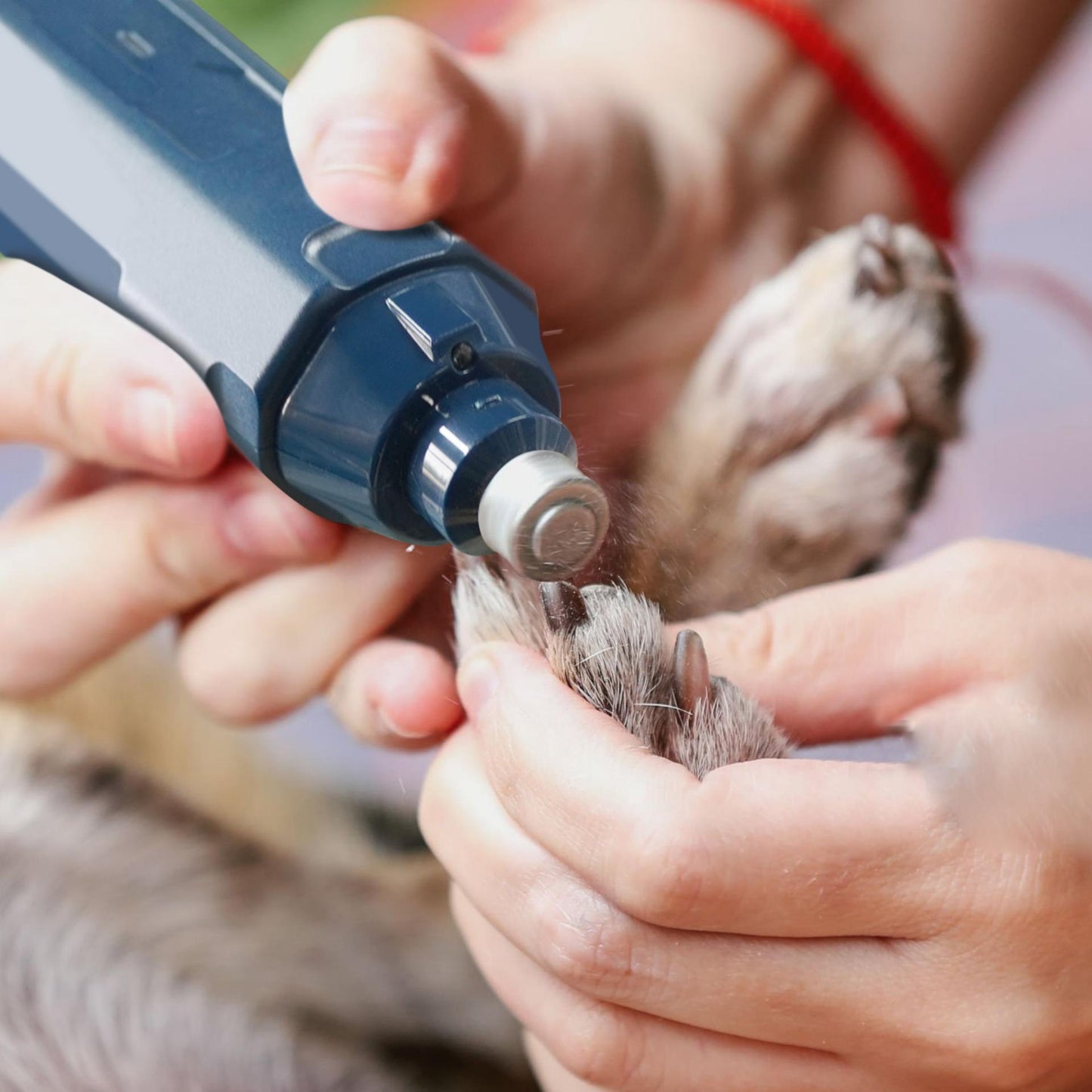 Dog Nail Grinder with LED Lights and Replacement Diamond Bit
