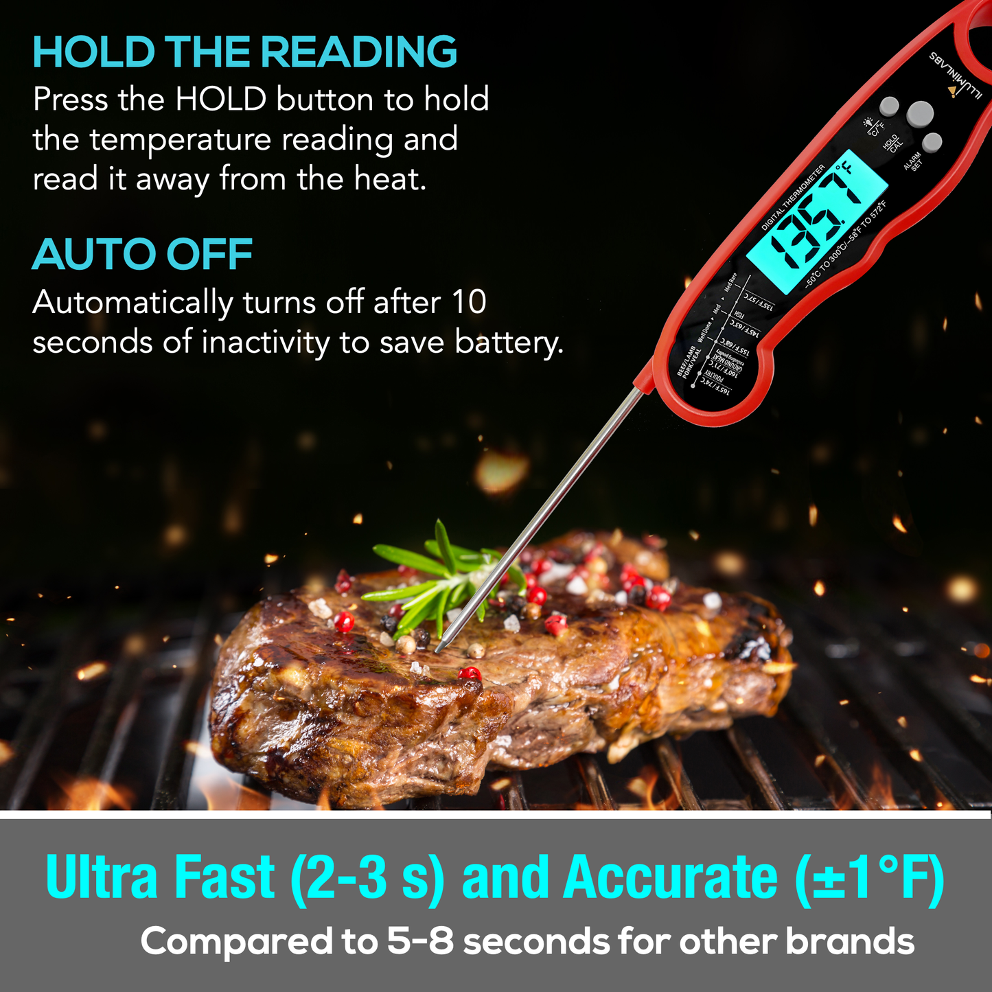 Dual Probe Digital Meat Thermometer