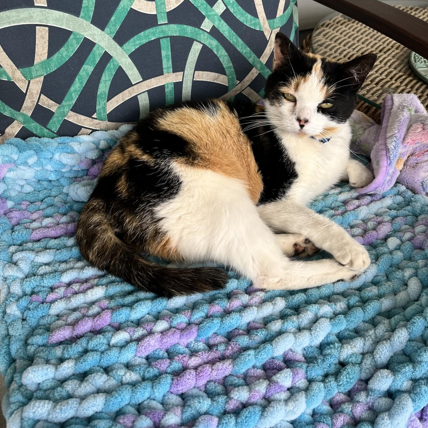 Yarn-7 Jumbo-Chenille-8Pack