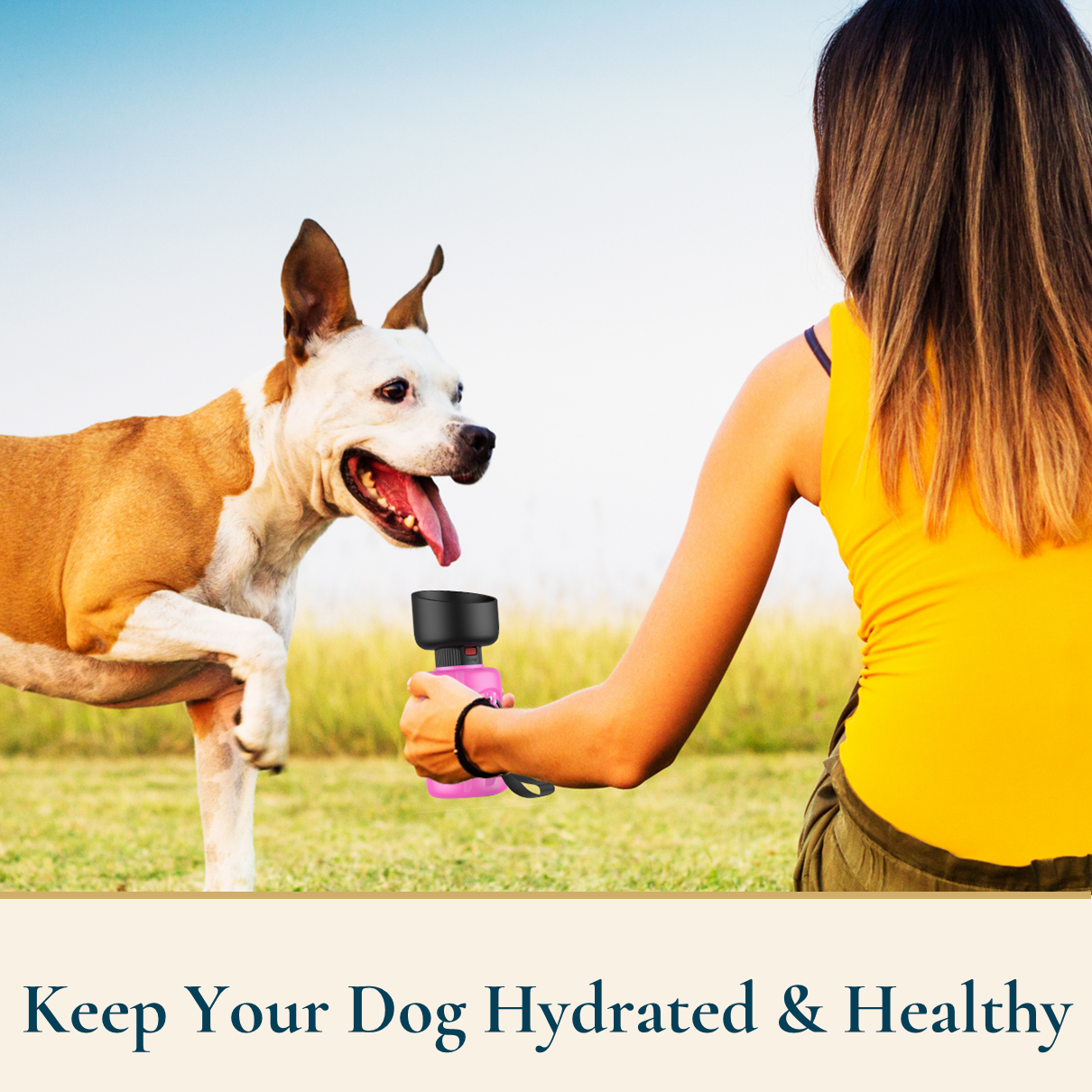 Leakproof Dog Water Bottle With Bonus Dog Poop Bag Dispenser
